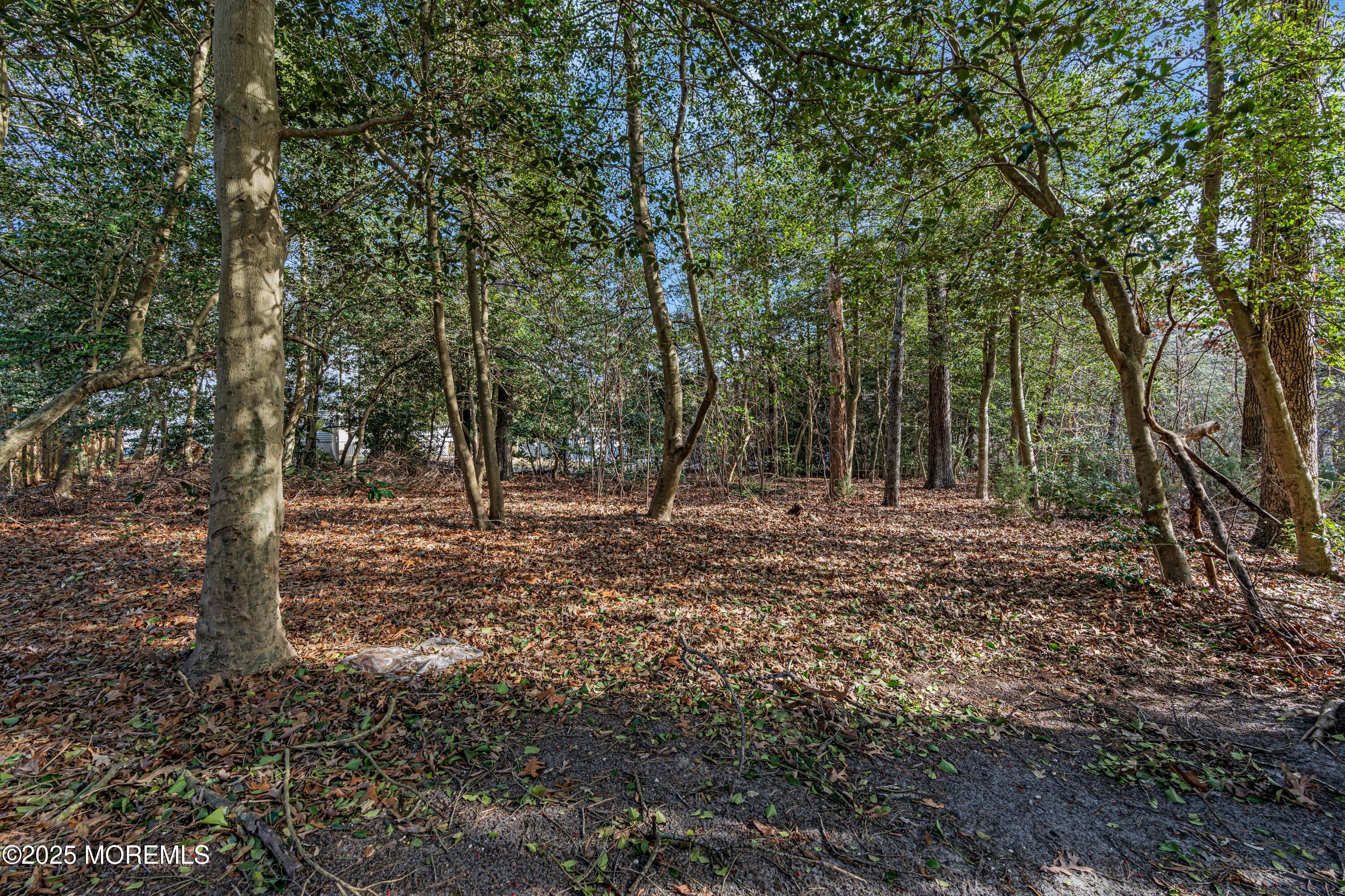 7 Colton Court, Bayville, New Jersey image 50