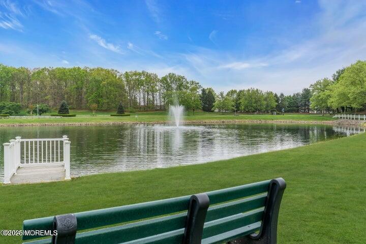 32 Sunnybrook Lane, Lakewood, New Jersey image 25