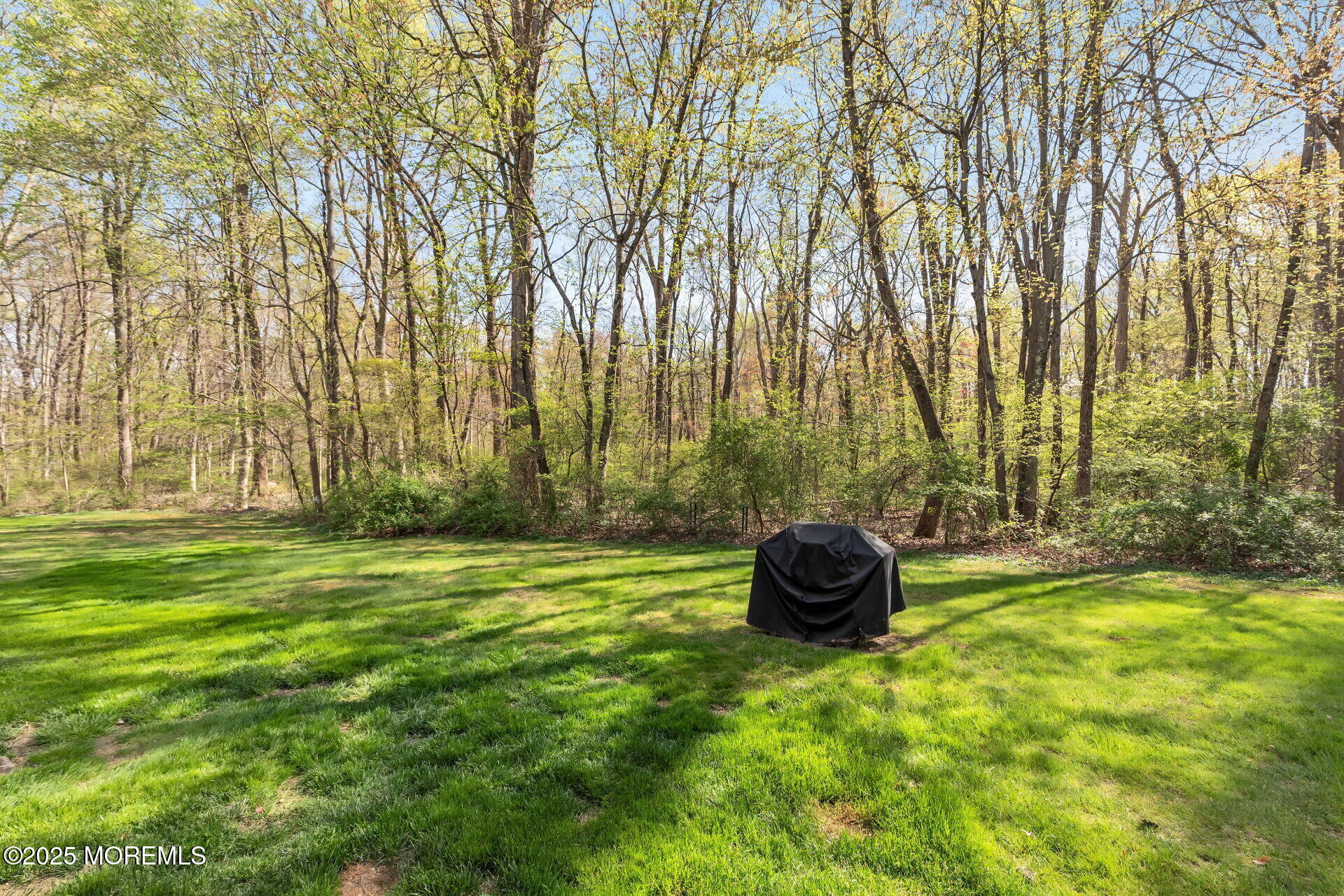 3281 Cypress Court, Monmouth Junction, New Jersey image 28