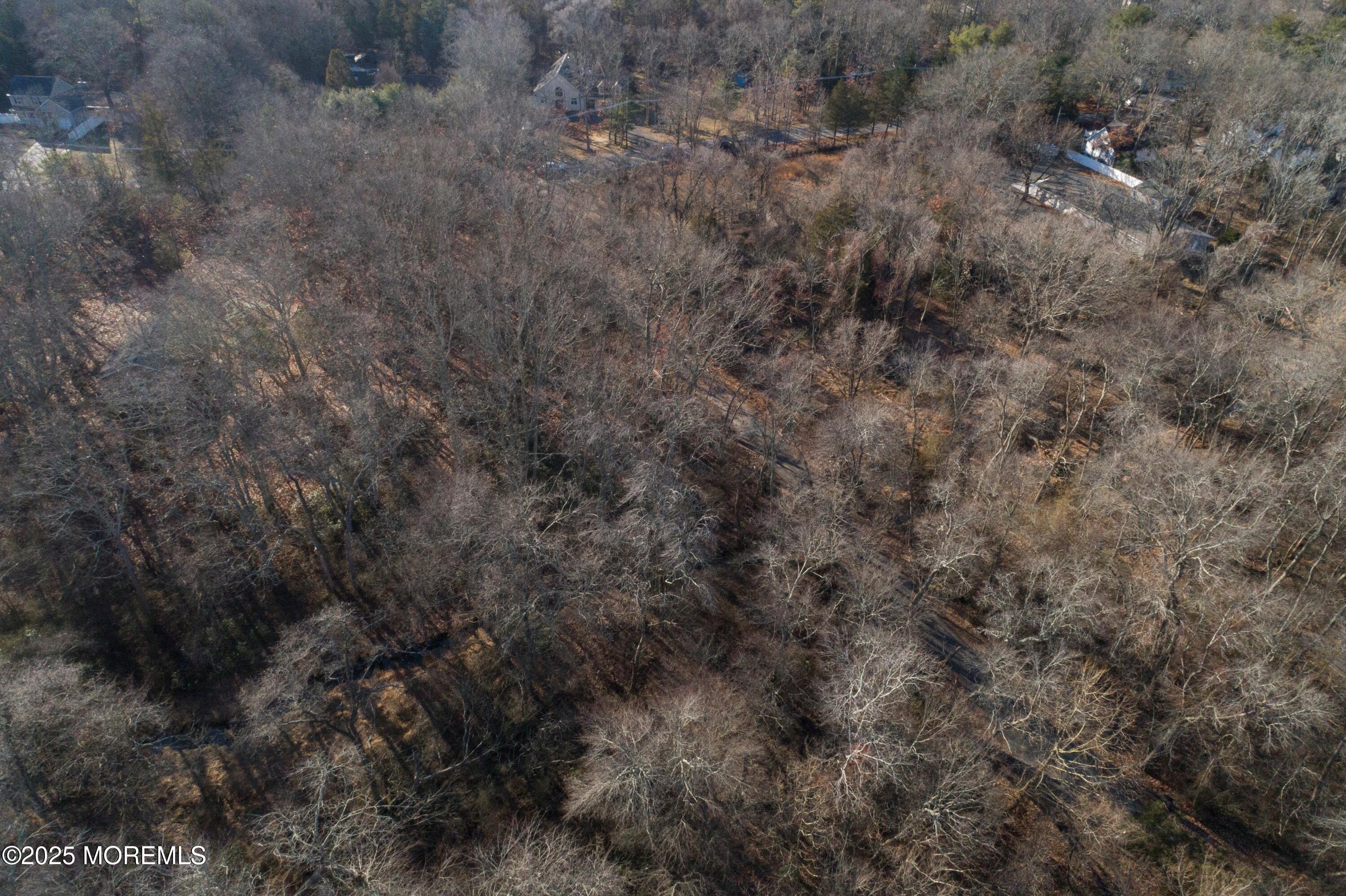 Blue Trail Road, Howell, New Jersey image 5