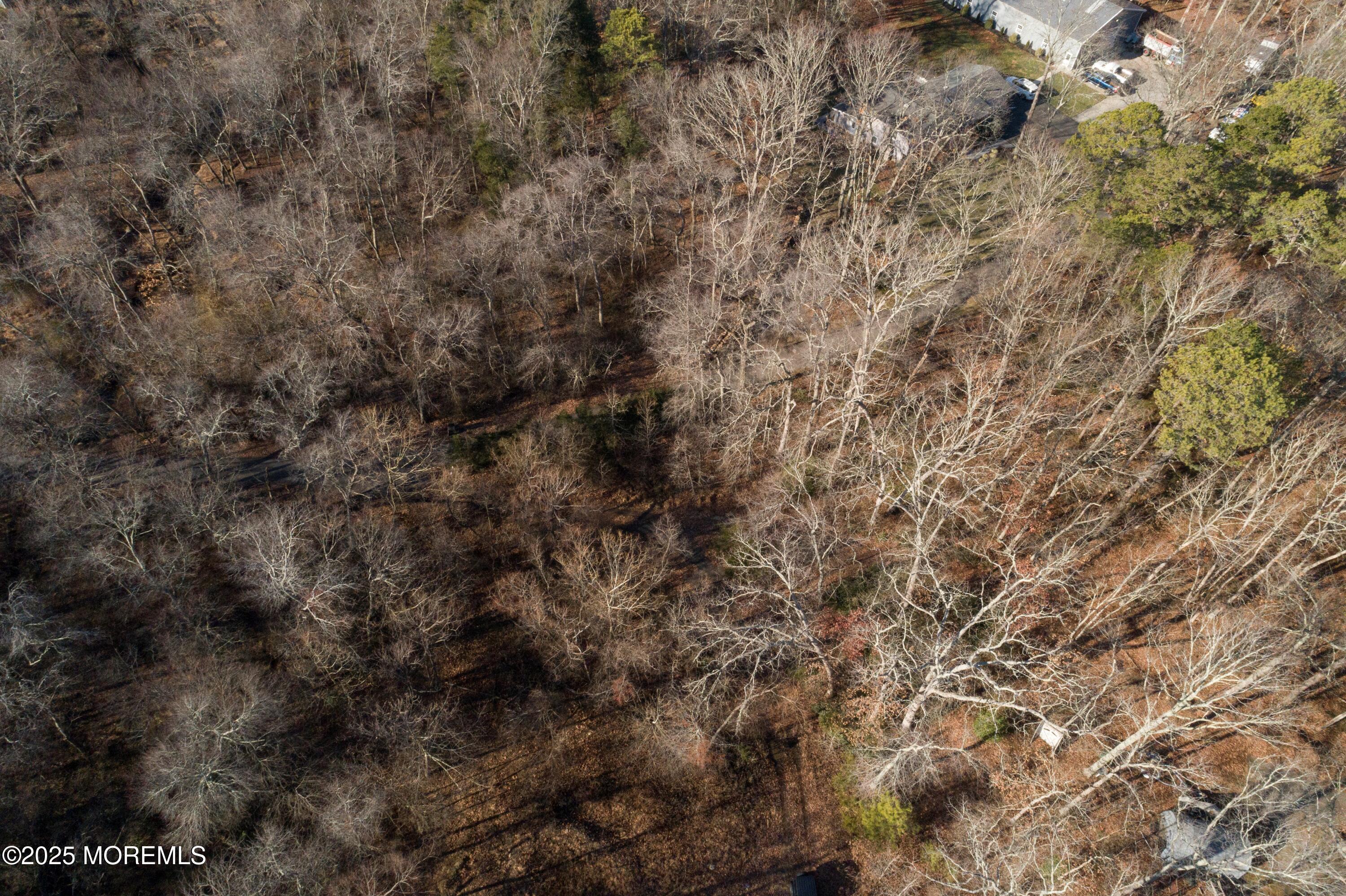 Blue Trail Road, Howell, New Jersey image 4