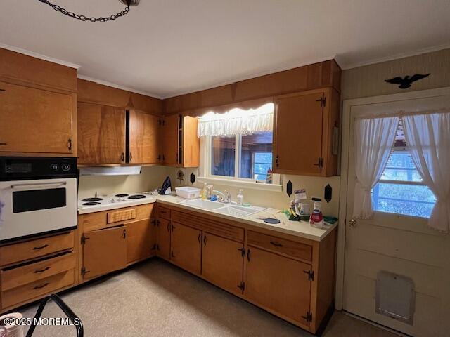 519 Monmouth Avenue, Pine Beach, New Jersey image 7