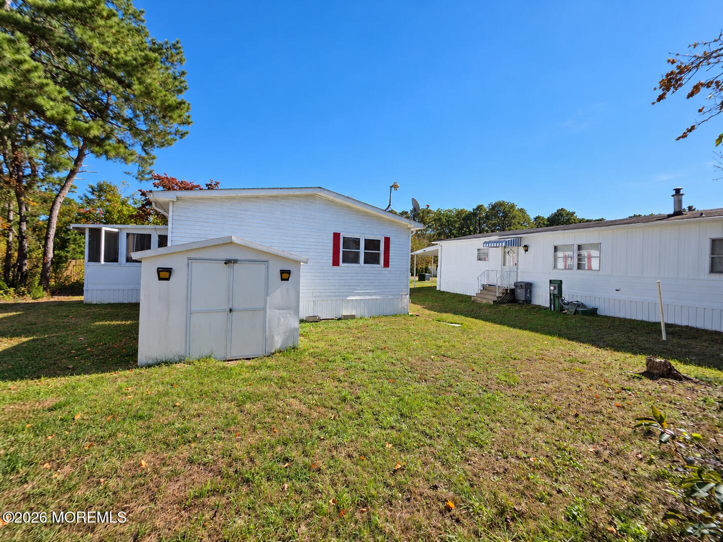 10 Raccoon Avenue