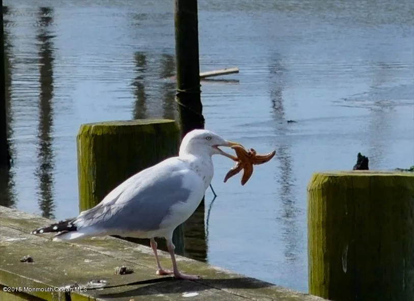 Belmar, New Jersey 07719, United States, 5 Bedrooms Bedrooms, ,2 BathroomsBathrooms,Residential,Pending,2186