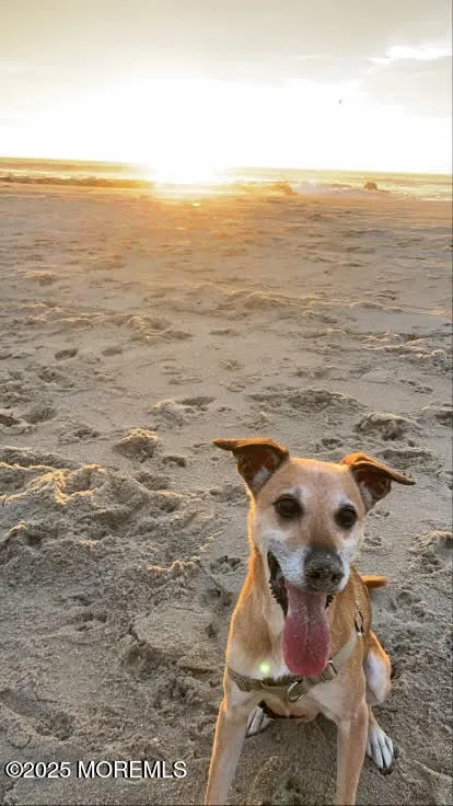 Asbury Park, New Jersey 07712, United States, 1 Bedroom Bedrooms, ,1 BathroomBathrooms,Residential,Pending,196874