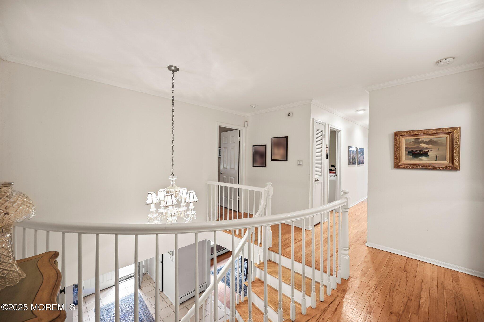 6 Emerald Drive, Morganville, New Jersey image 11
