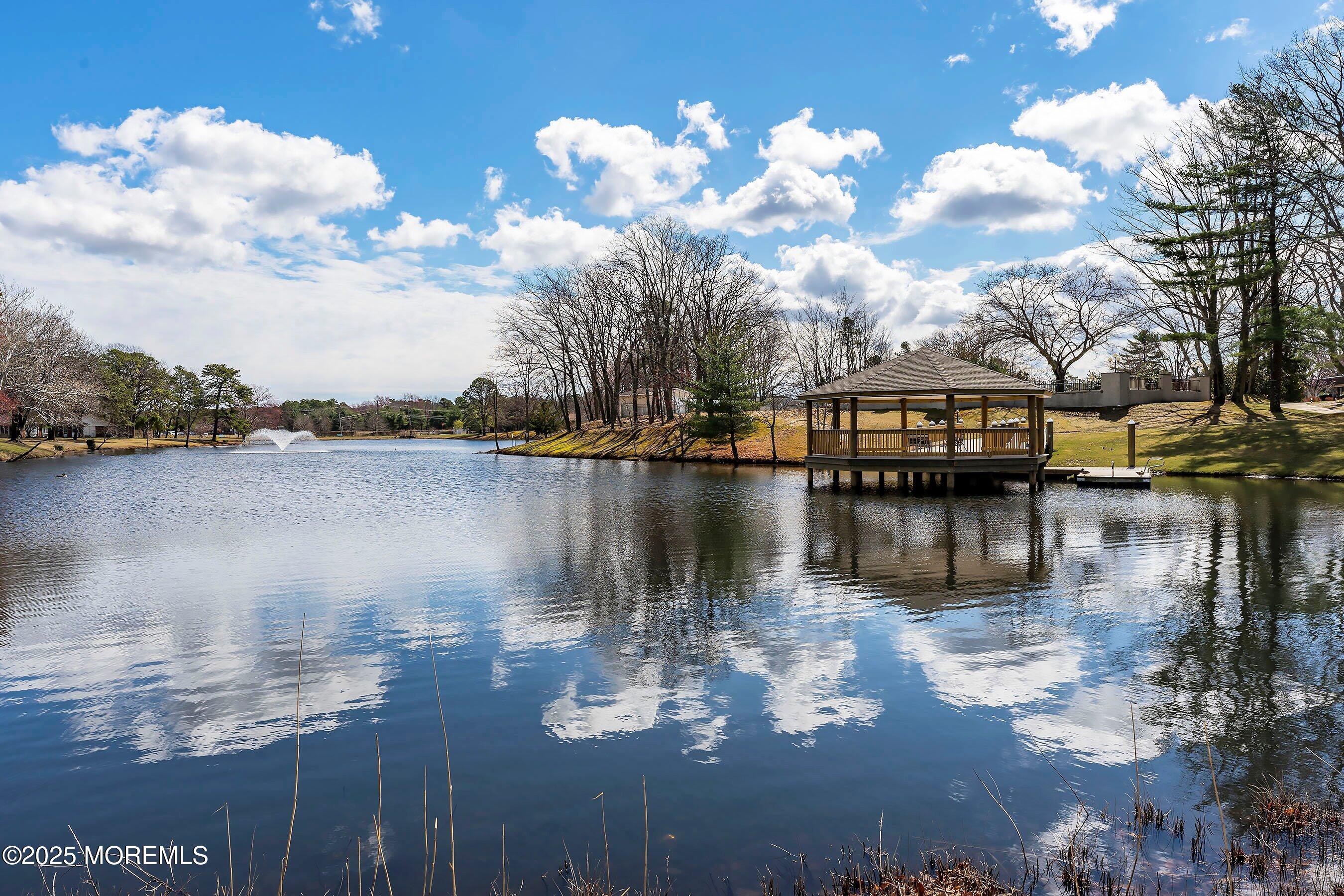 1145 Argyll Circle #B, Lakewood, New Jersey image 17