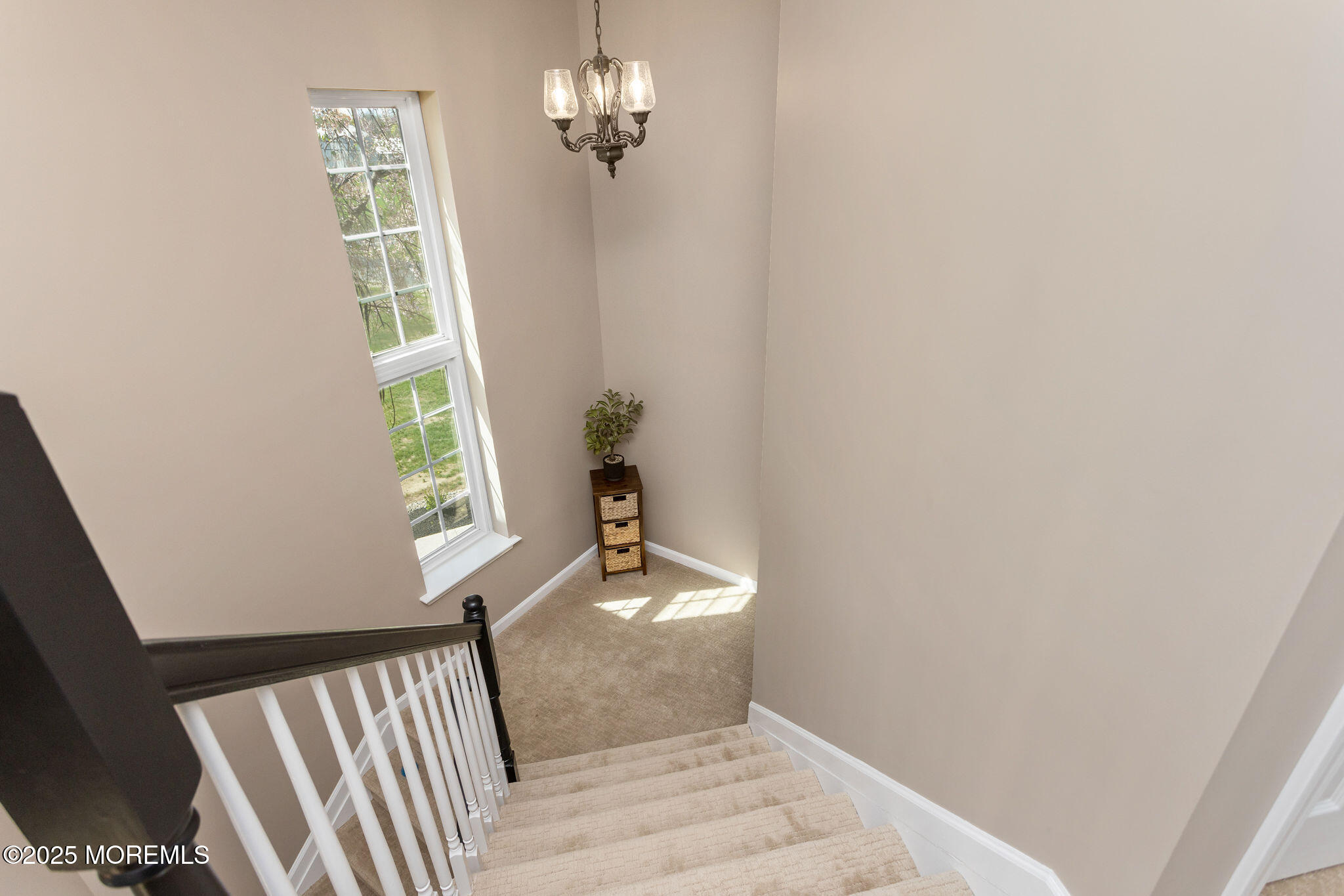 113 Holmes Mill Road, Cream Ridge, New Jersey image 19