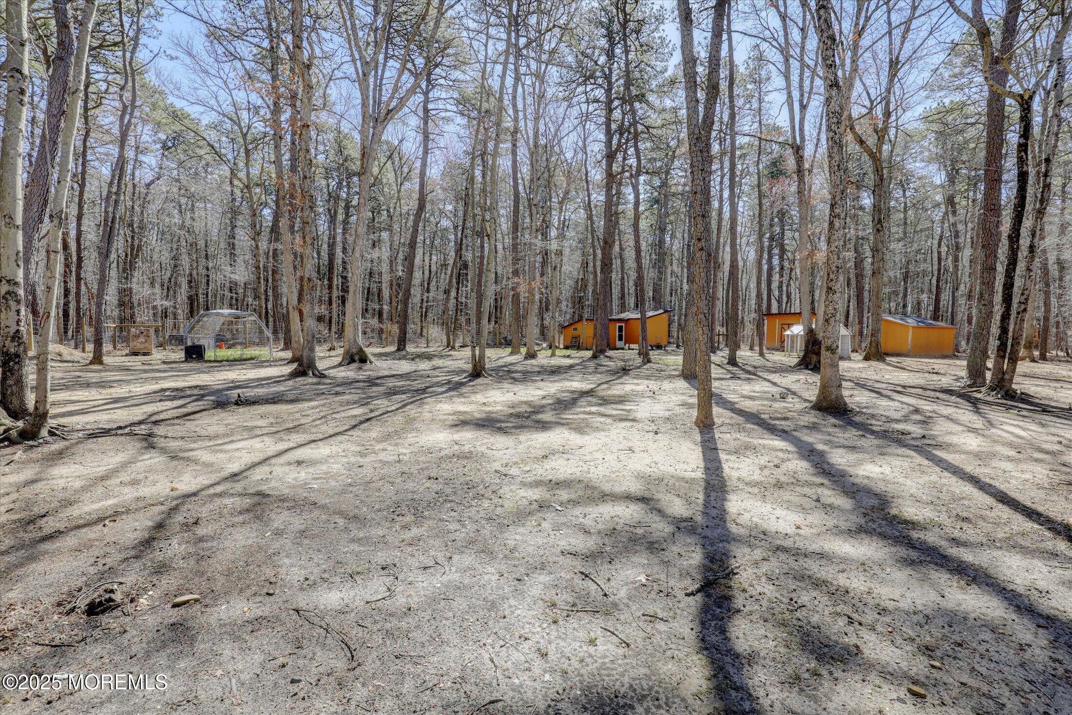 7 Sandpiper Court, Jackson, New Jersey image 47