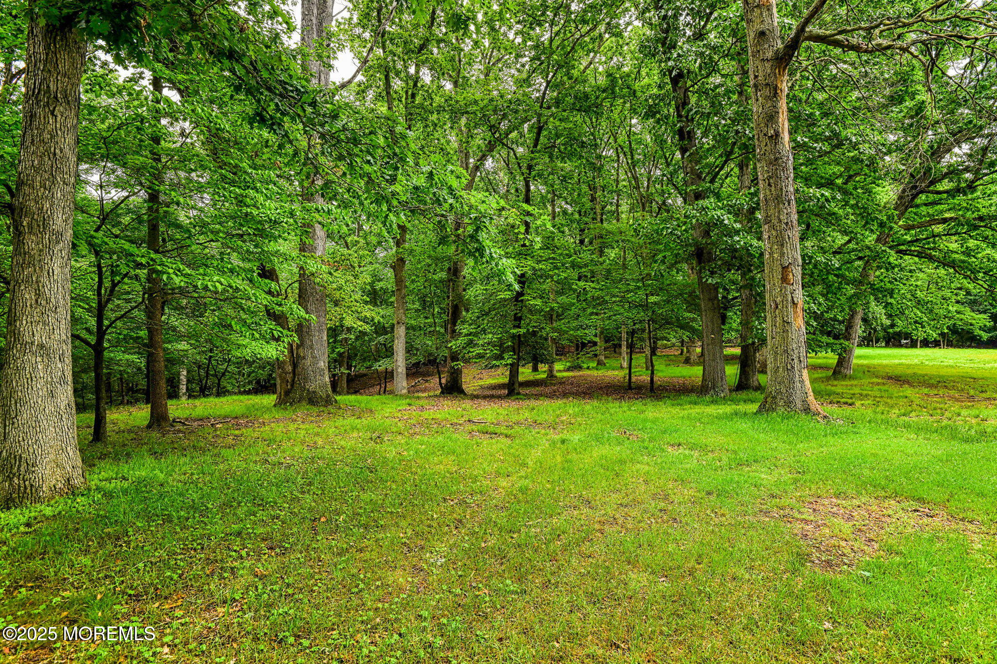 94 Topanemus Lane, Freehold, New Jersey image 25
