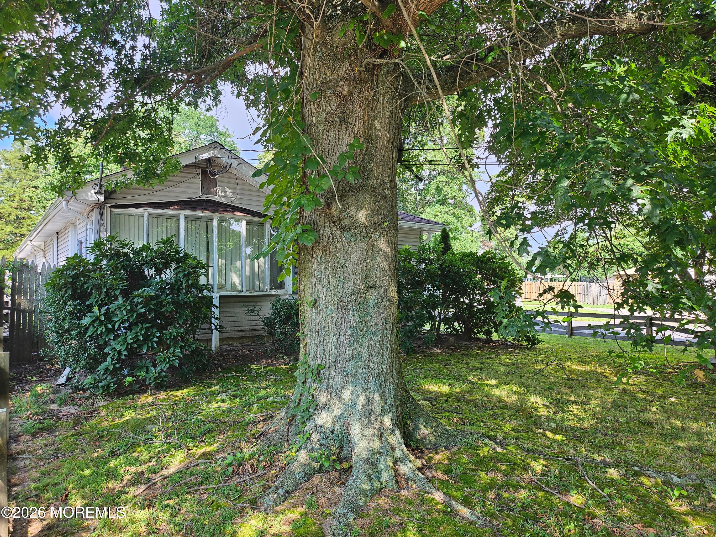 66 Whalepond Road