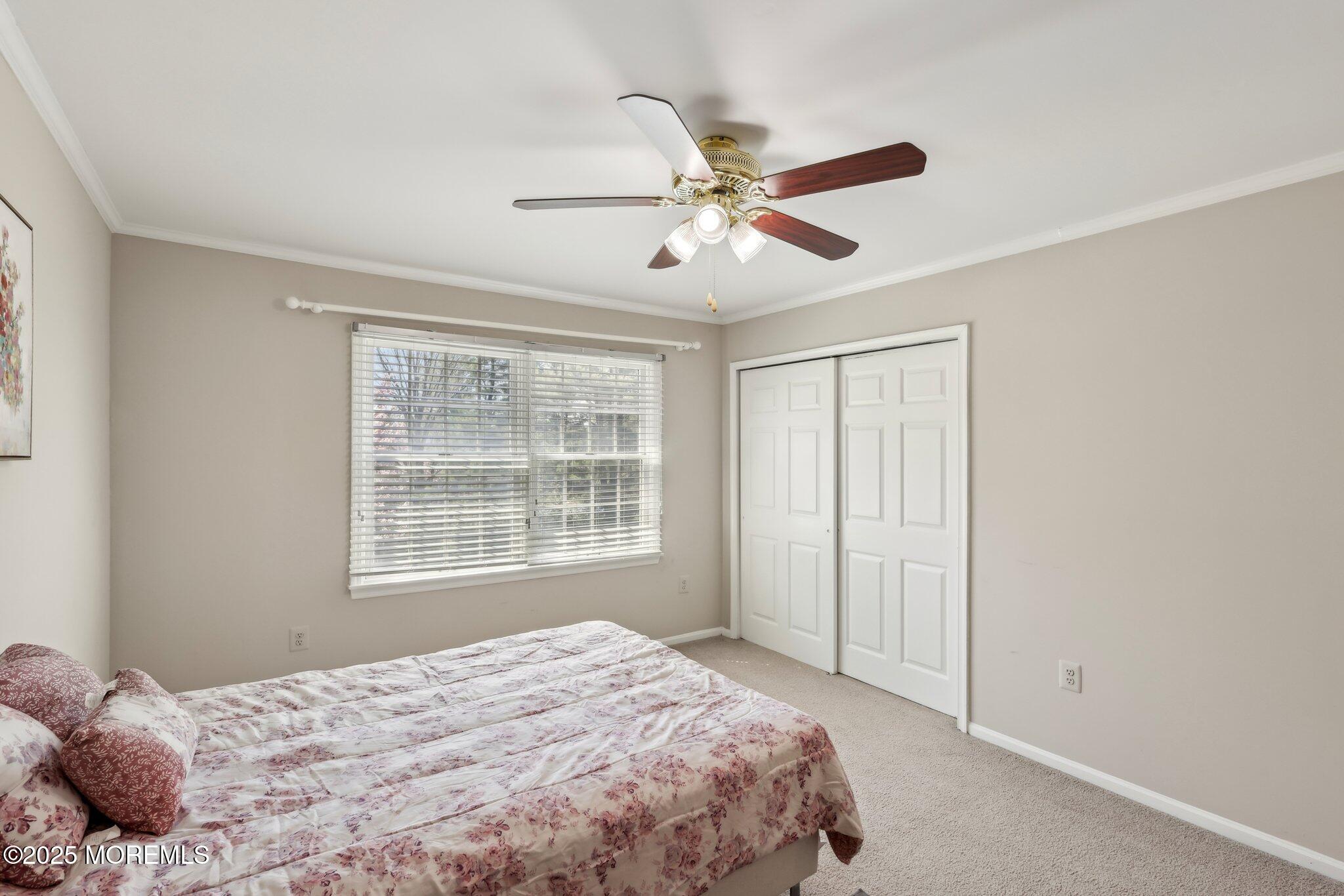 12 Titus Lane, Plainsboro, New Jersey image 41