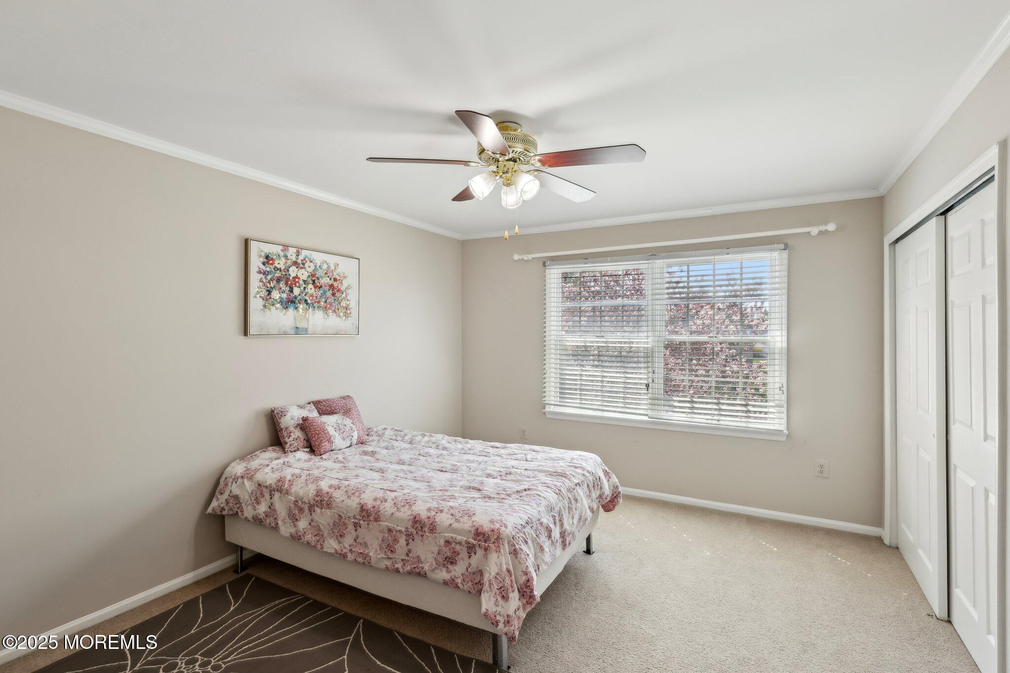 12 Titus Lane, Plainsboro, New Jersey image 40