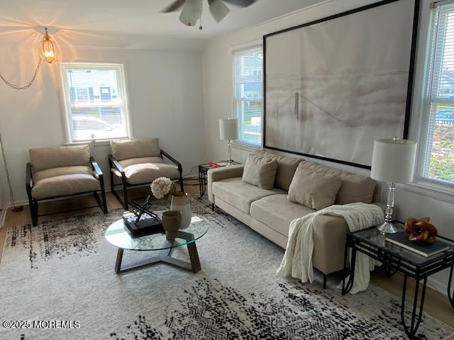 1223 Briarwood Road