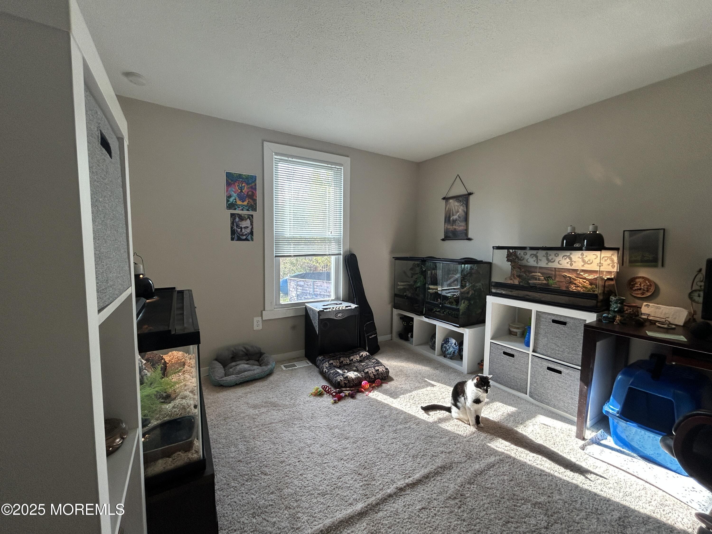 237 Falcon Drive, Little Egg Harbor, New Jersey image 9