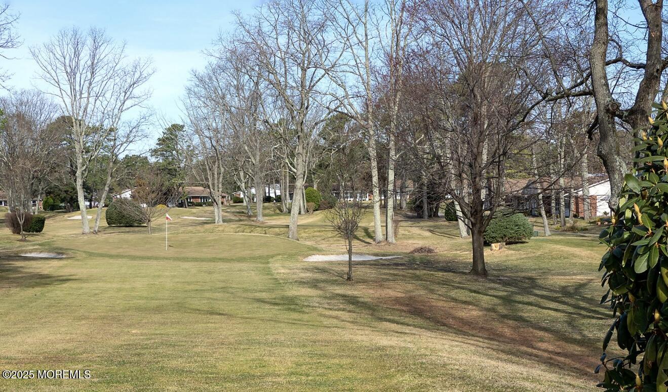 1184 A Clydebank Court, Lakewood, New Jersey image 39