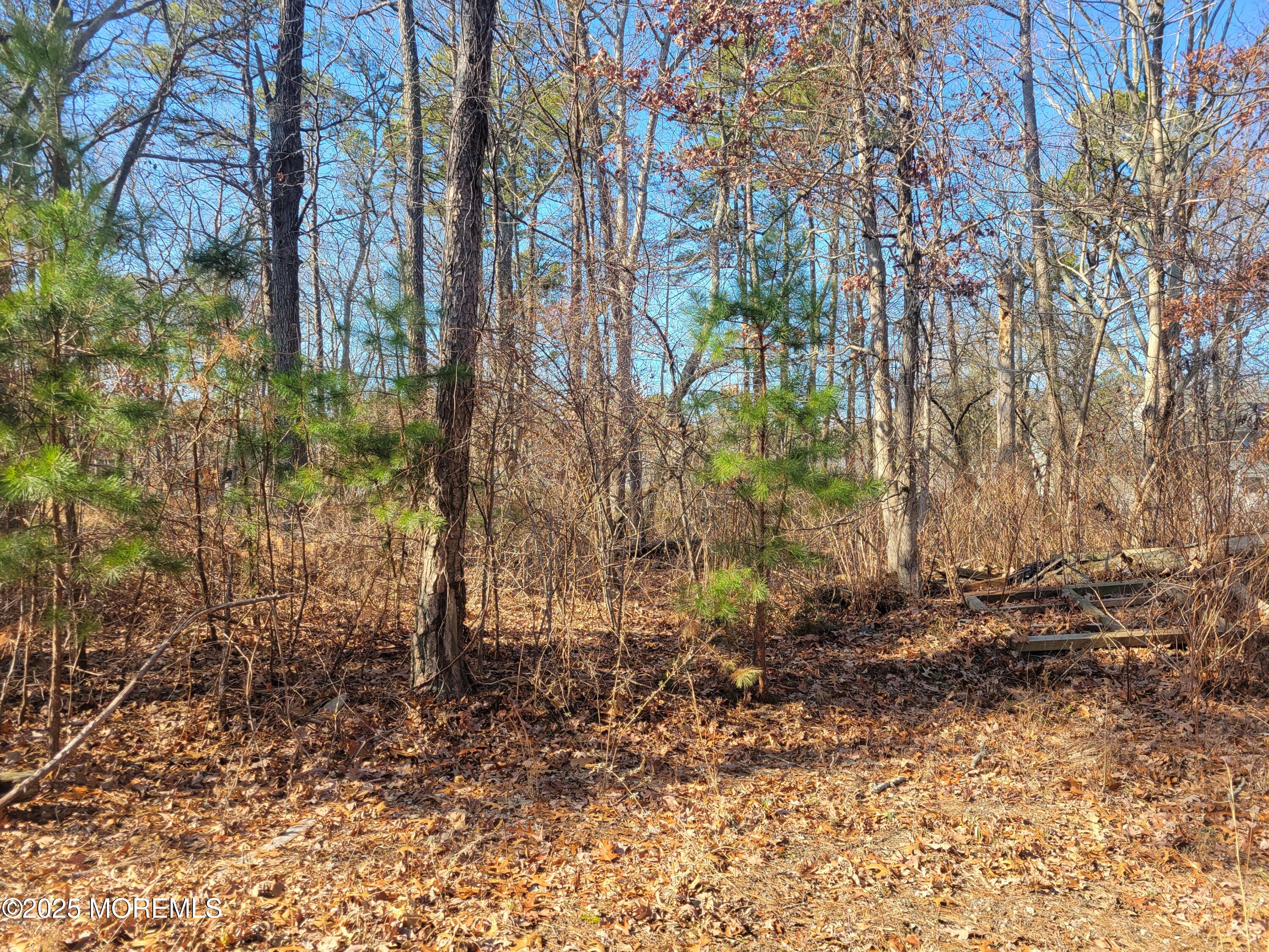 3 Railroad Avenue, Bayville, New Jersey image 2