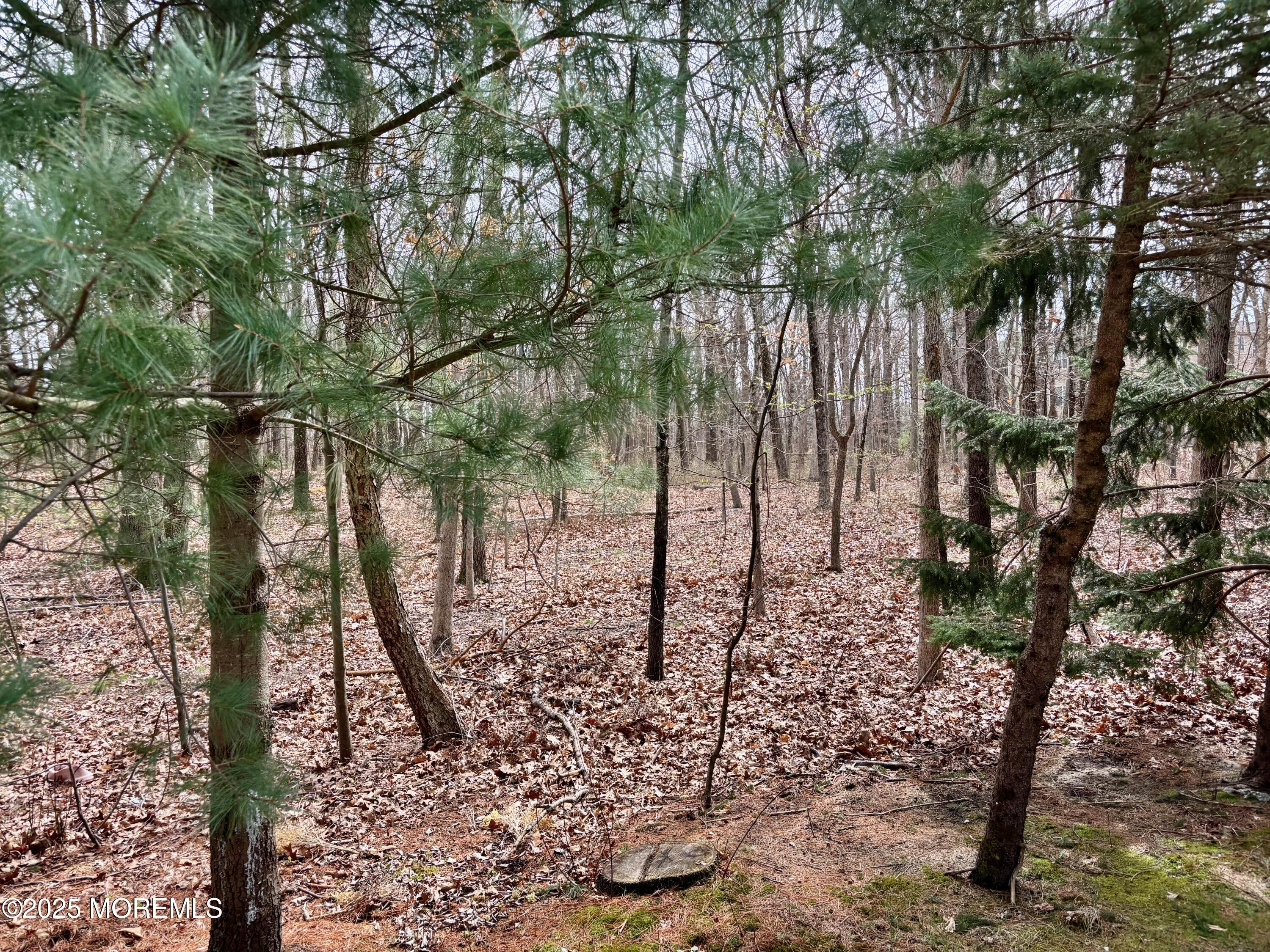165 Einstein Way, East Windsor, New Jersey image 32