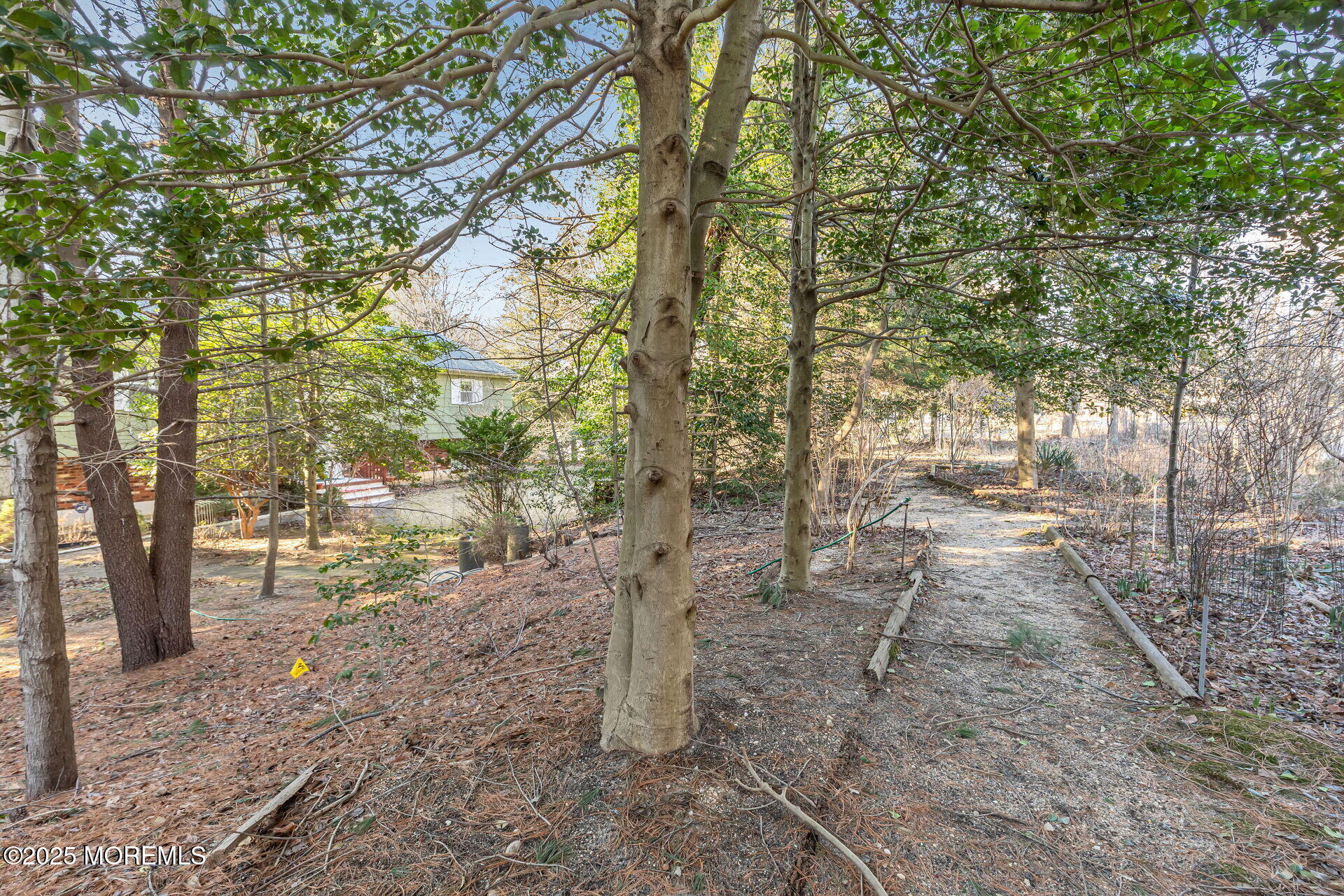 223 Green Grove Road, Tinton Falls, New Jersey image 24