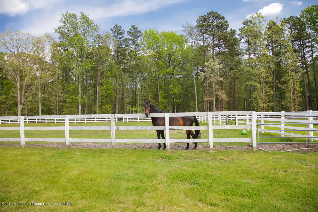 24 Squankum Road, Colts Neck, New Jersey image 8