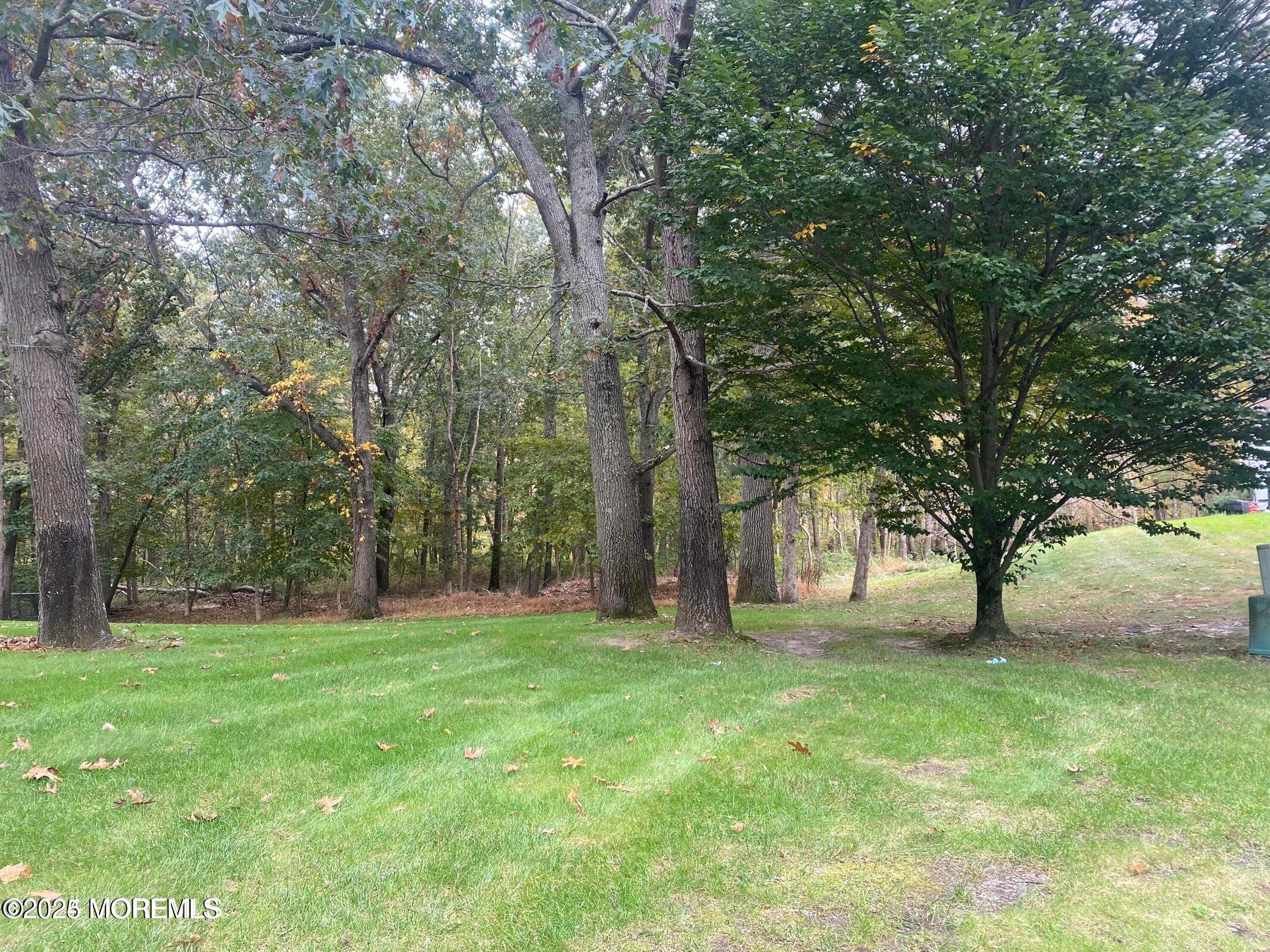 25 Pioneer Court, Freehold, New Jersey image 41