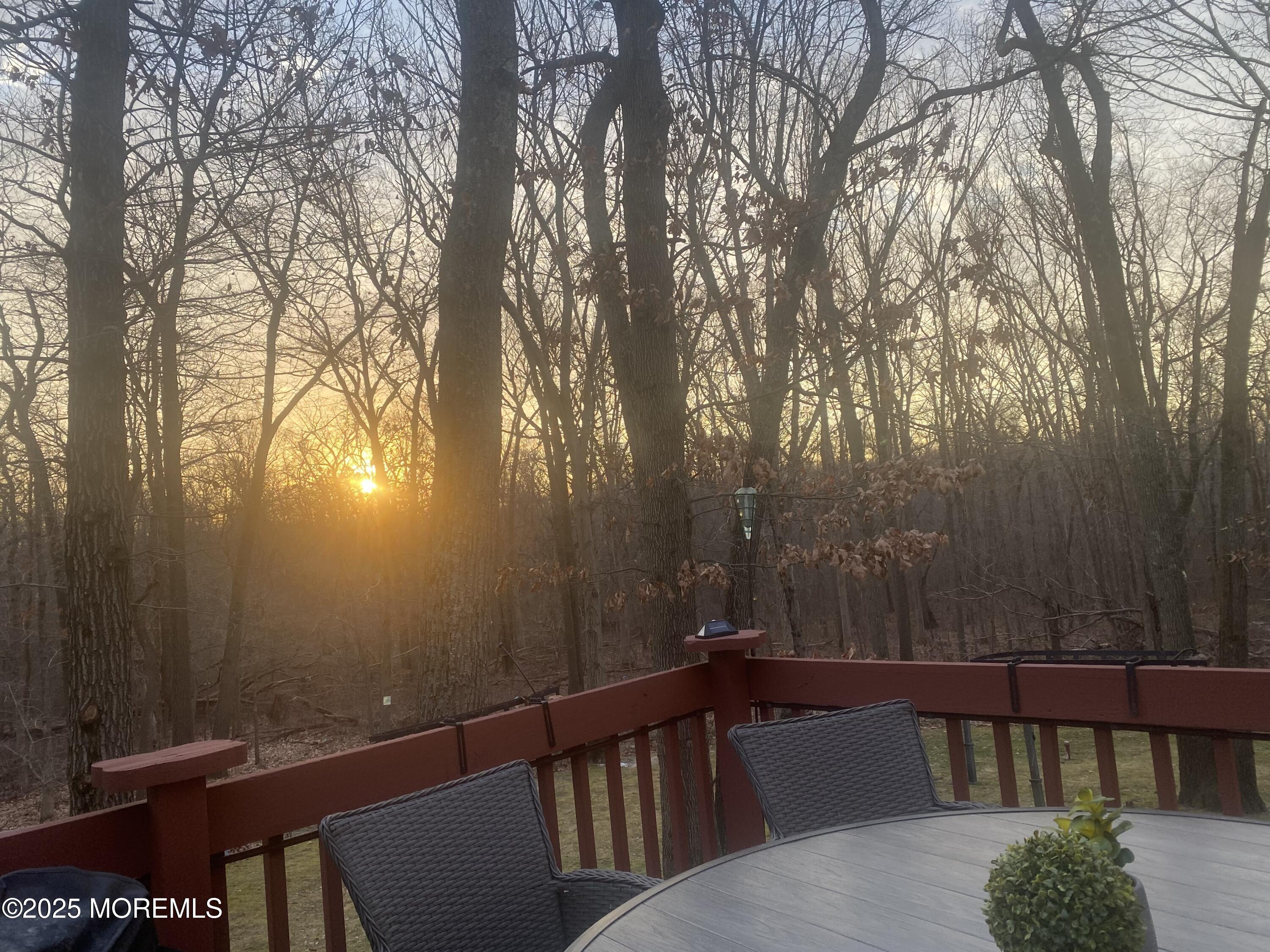 25 Pioneer Court, Freehold, New Jersey image 39