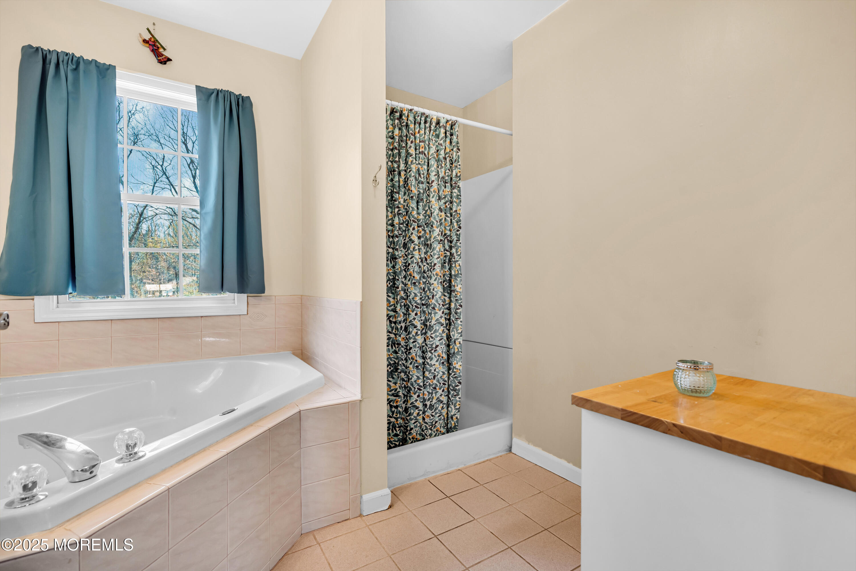 159 Docare Road, Jackson, New Jersey image 23