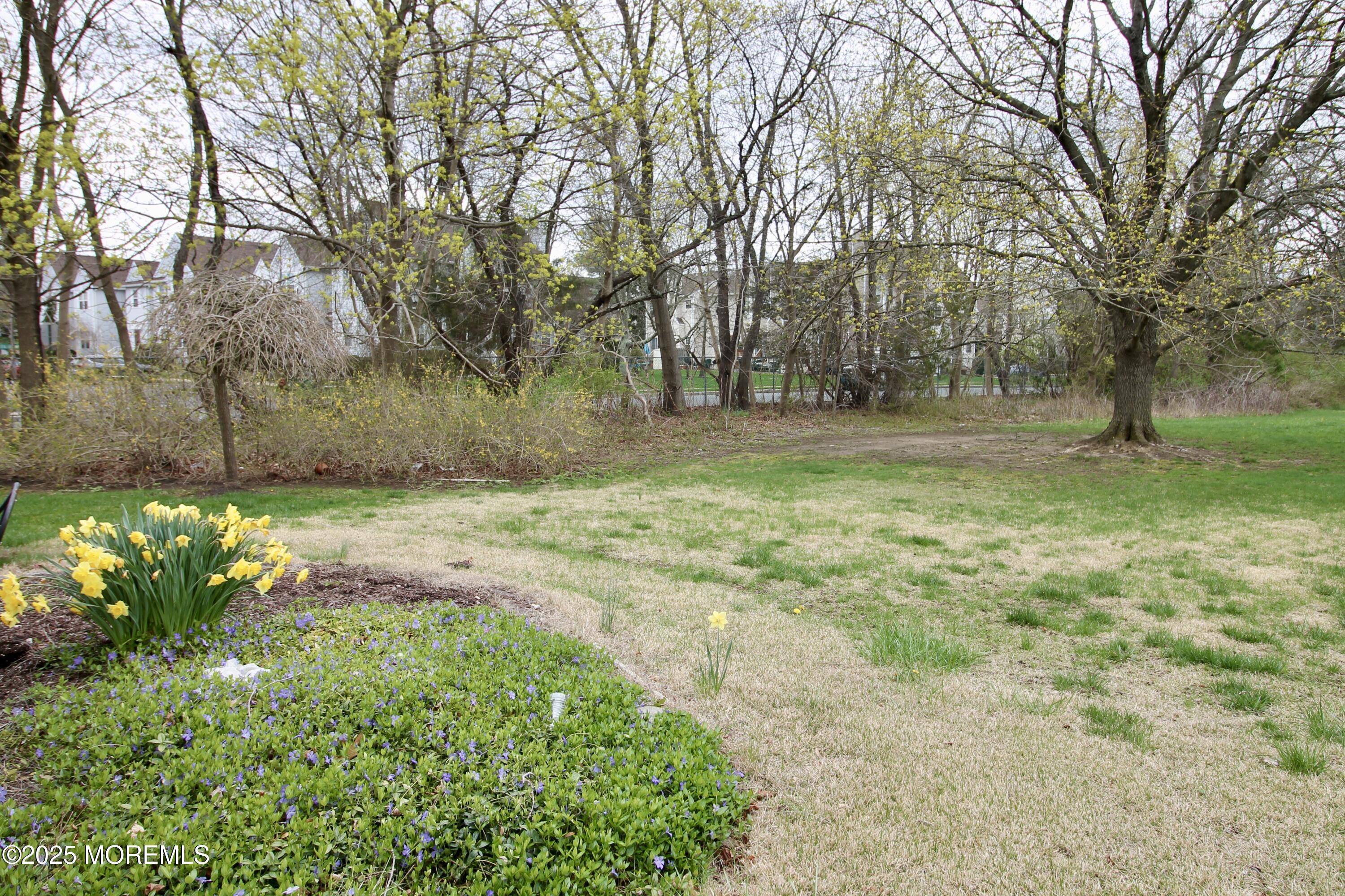 530 James Street, Freehold, New Jersey image 35