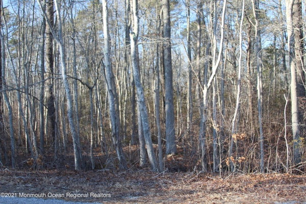 74 HIGHLAND DR, BARNEGAT, NJ 08005 - Image c876cf7f6feceae73c1ec982a44a9934/3525652369