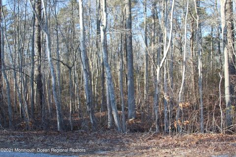 Vacant Land For Sale - 74 Highland Drive<br/> Barnegat, NJ 08005
