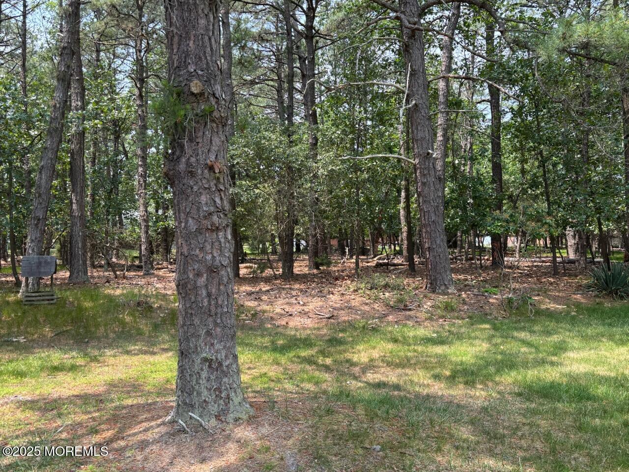 194 Constitution Boulevard, Whiting, New Jersey image 6