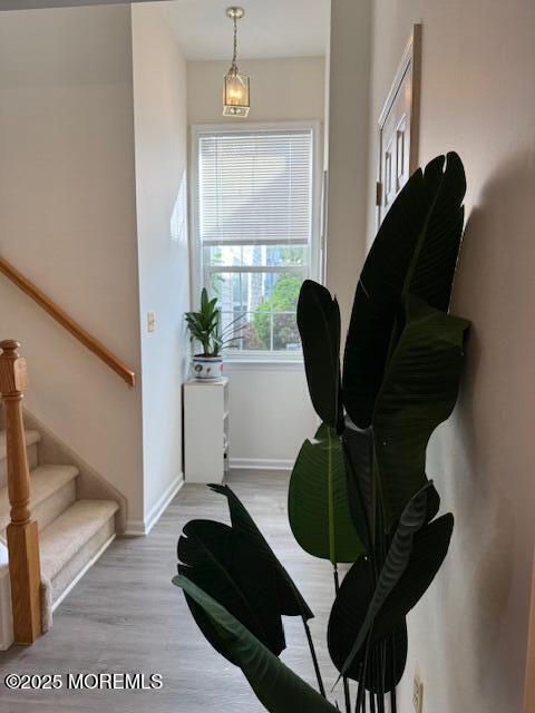 889 Crimson Court, Morganville, New Jersey image 18