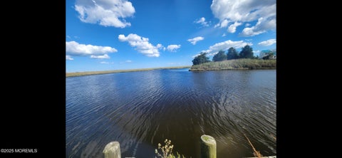 Vacant Land For Sale - 135 Juniper Drive<br/> Little Egg Harbor, NJ 08087