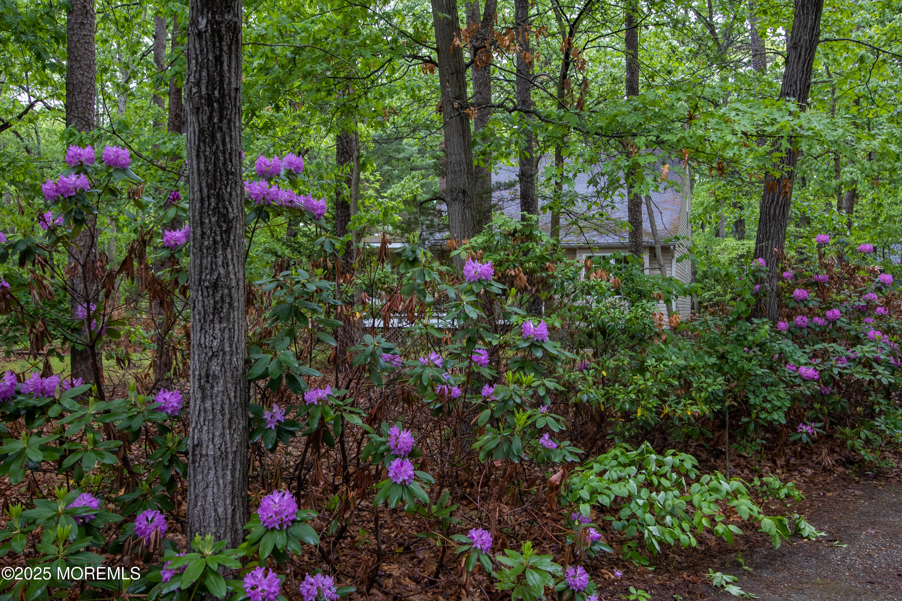 3257 Ridgeway Boulevard, Manchester, New Jersey image 3