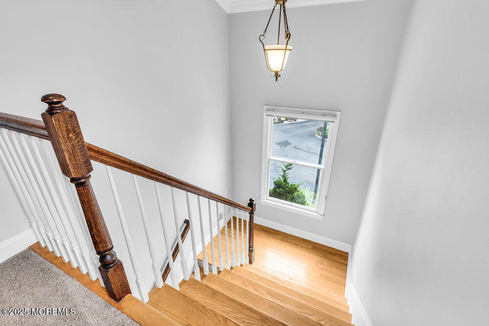 108 Locust Avenue, Red Bank, New Jersey image 16