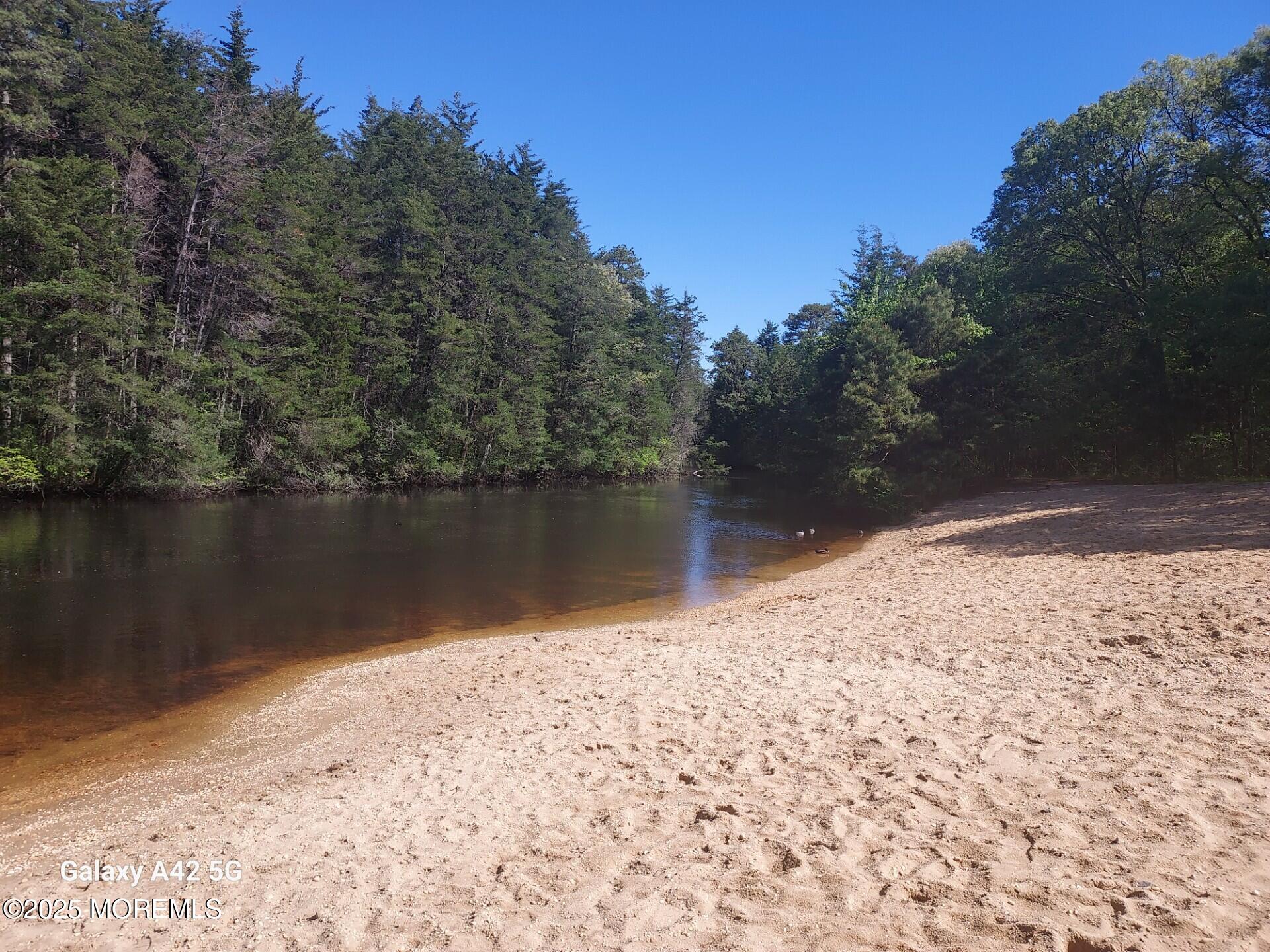 114 Forrest Avenue, Forked River, New Jersey image 8