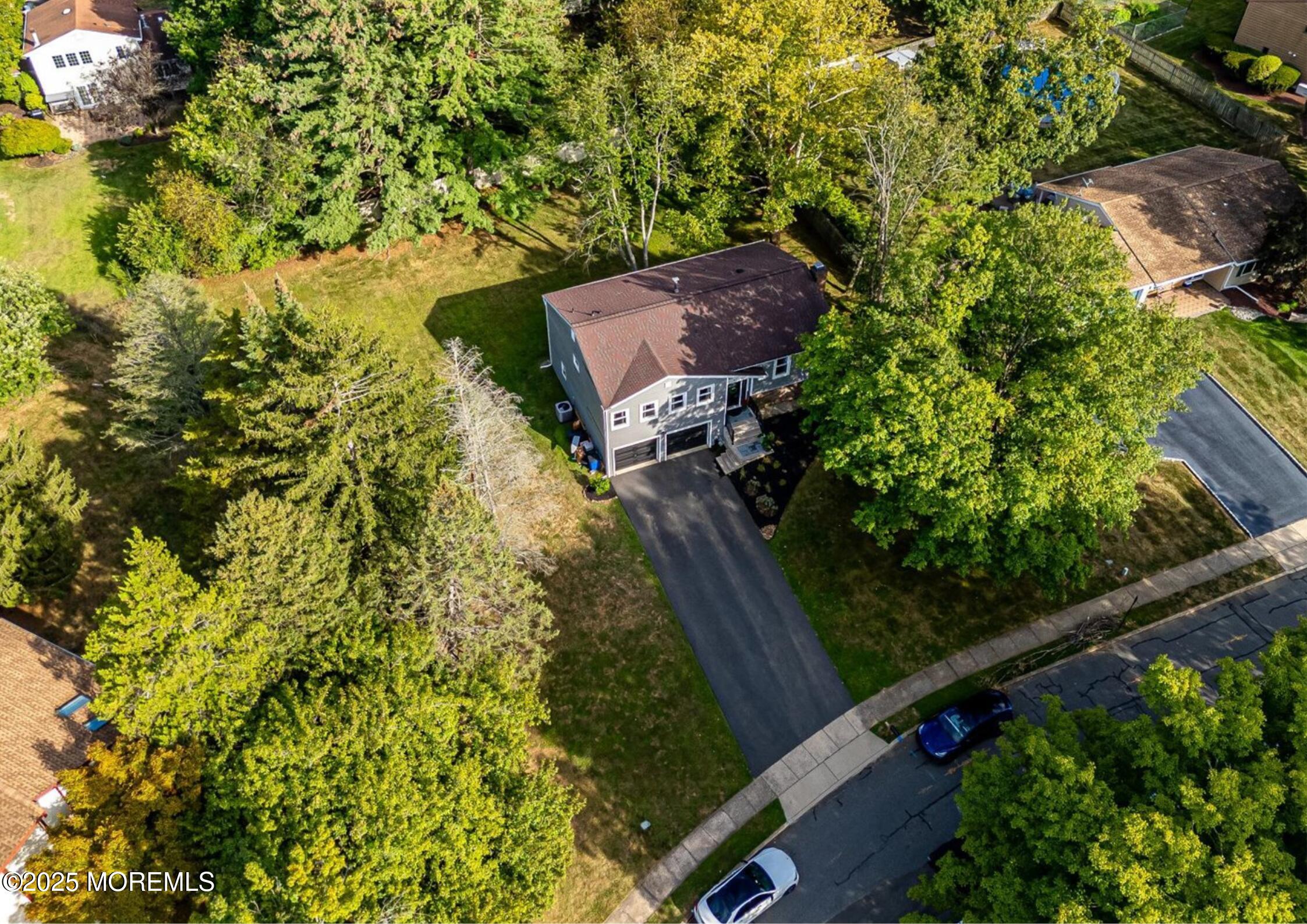 6 Donner Court