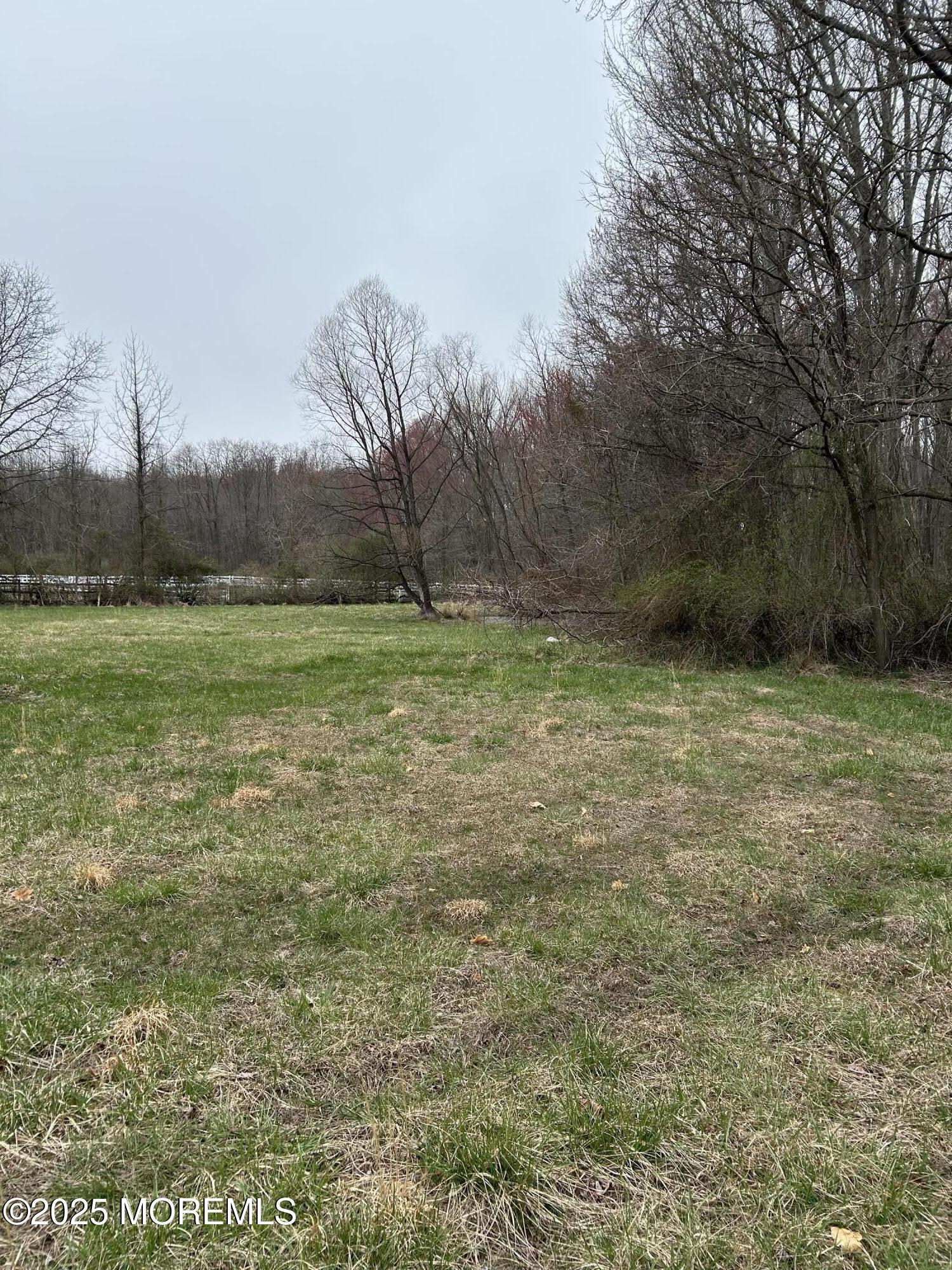 134 Mccaffery Road, Manalapan, New Jersey image 4