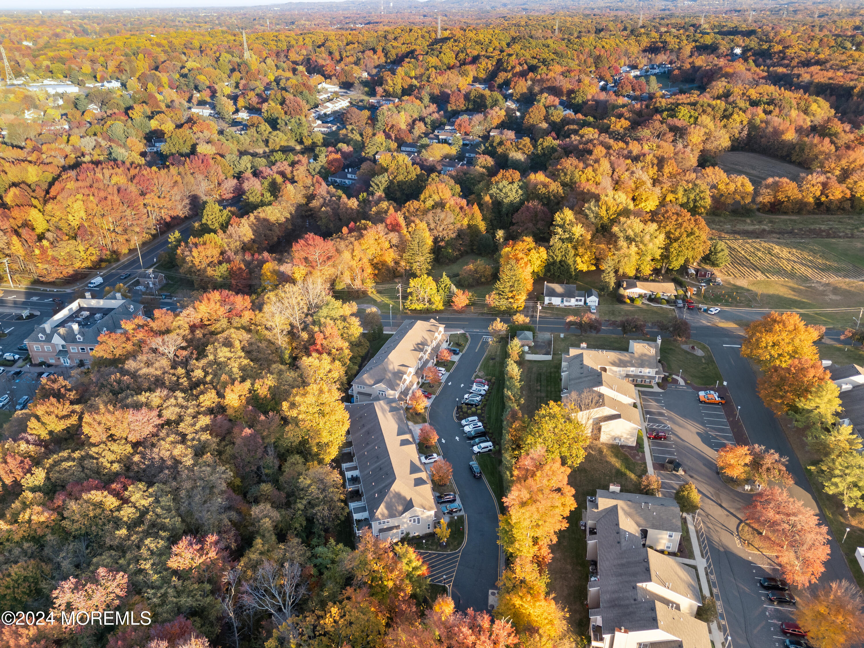 6 Cottrell Court #6, Old Bridge, New Jersey image 43