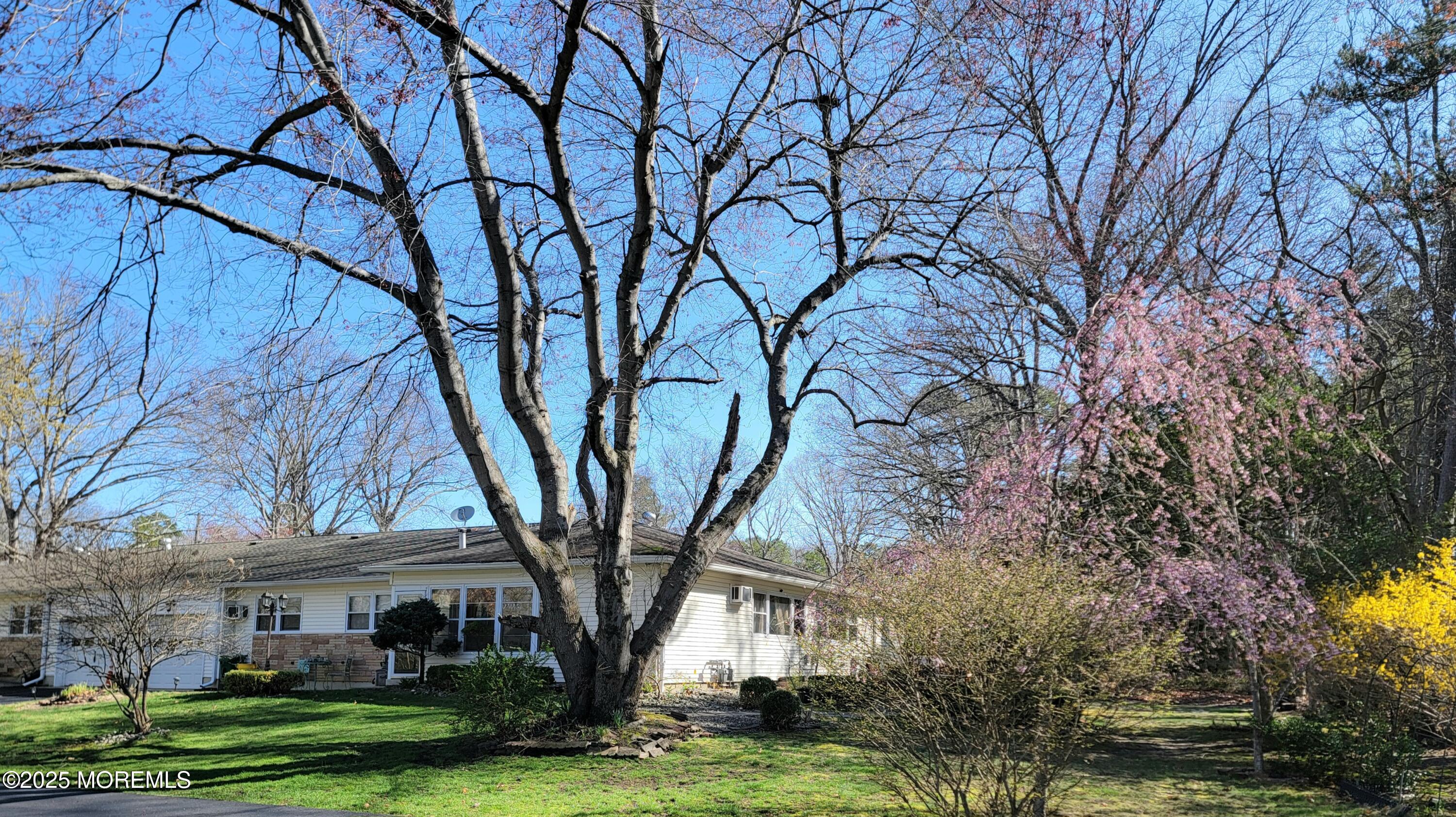 24 East Road #D, Jackson, New Jersey image 3