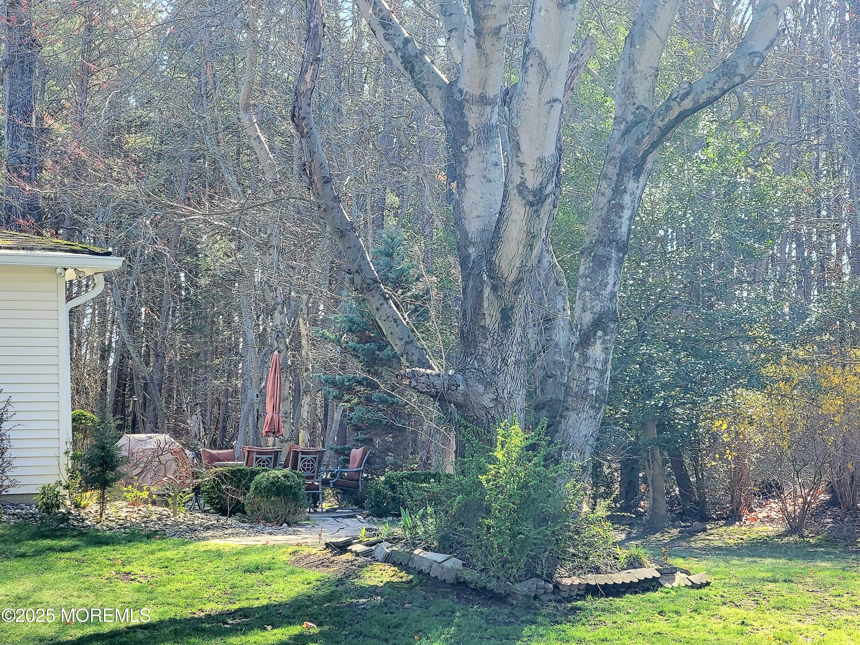24 East Road #D, Jackson, New Jersey image 4