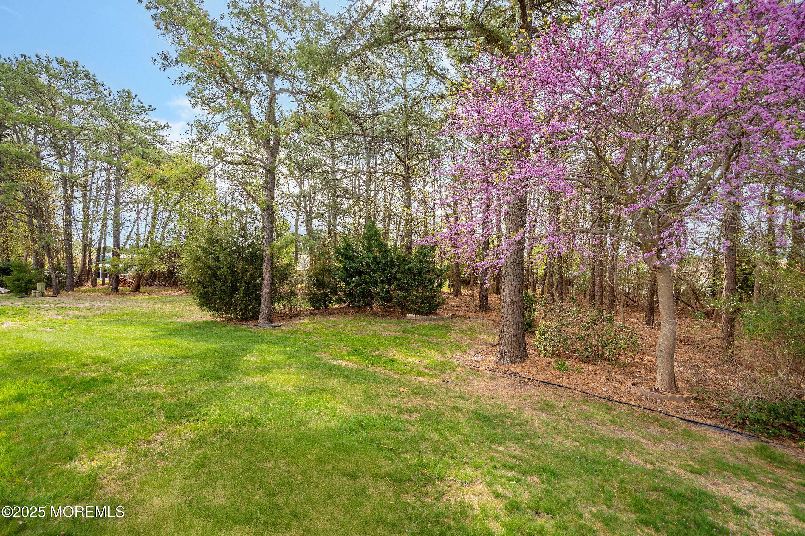 83 Woodstock Drive, Toms River, New Jersey image 26