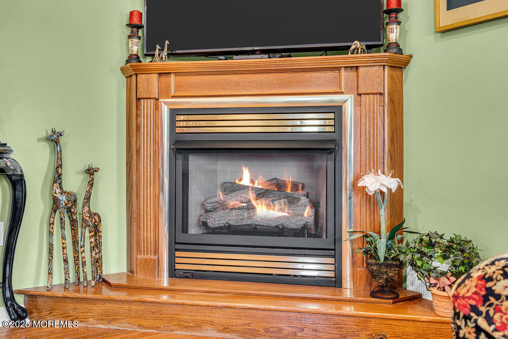251 Genes Drive, Toms River, New Jersey image 24