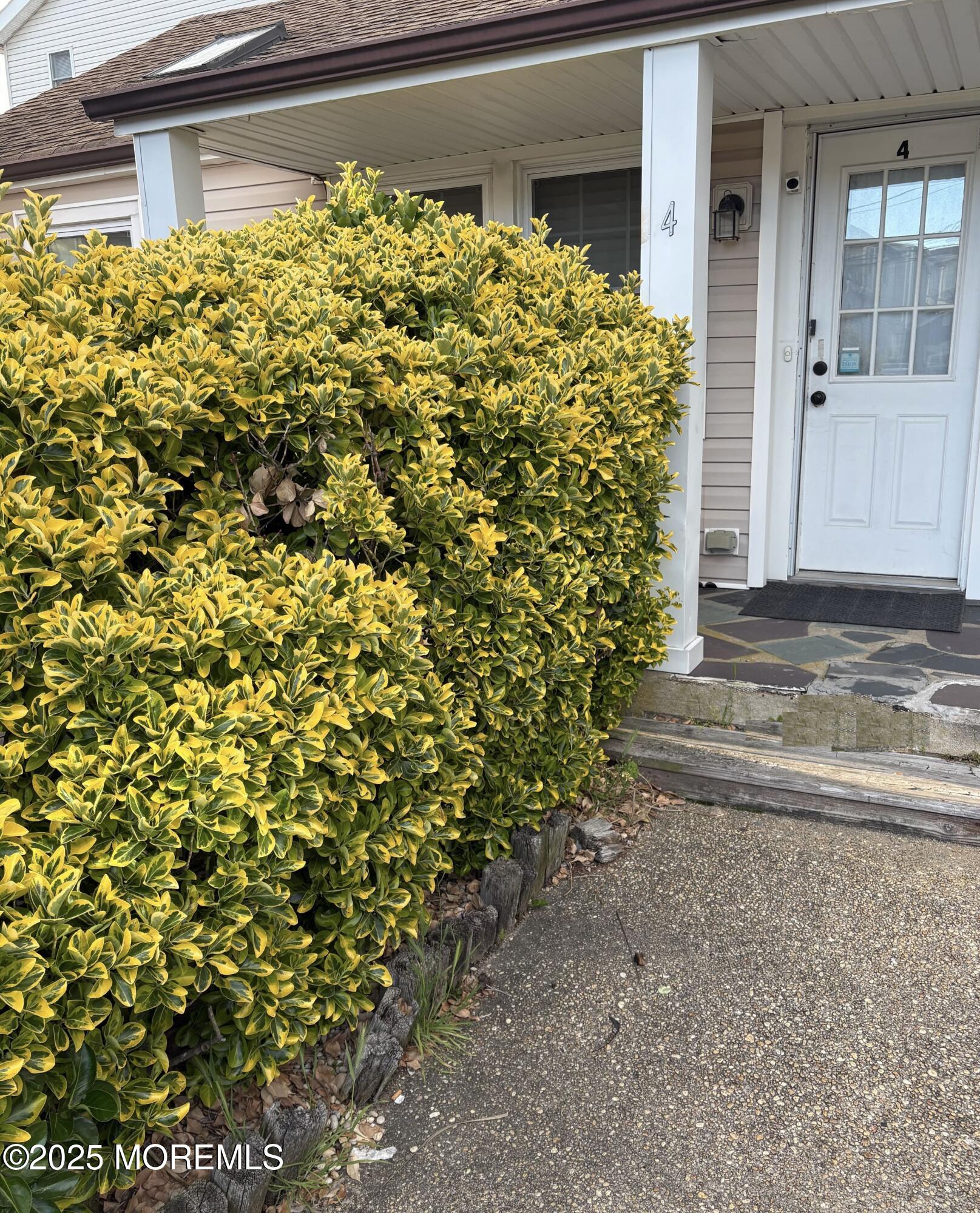 124 Lincoln Avenue #4, Seaside Heights, New Jersey image 18