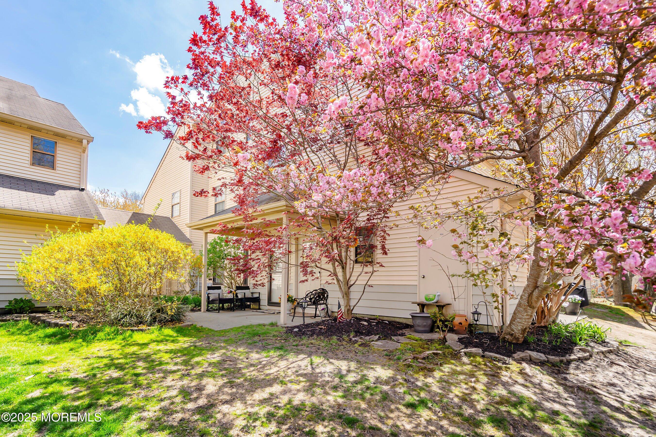 204 Begonia Court, Jackson, New Jersey image 1