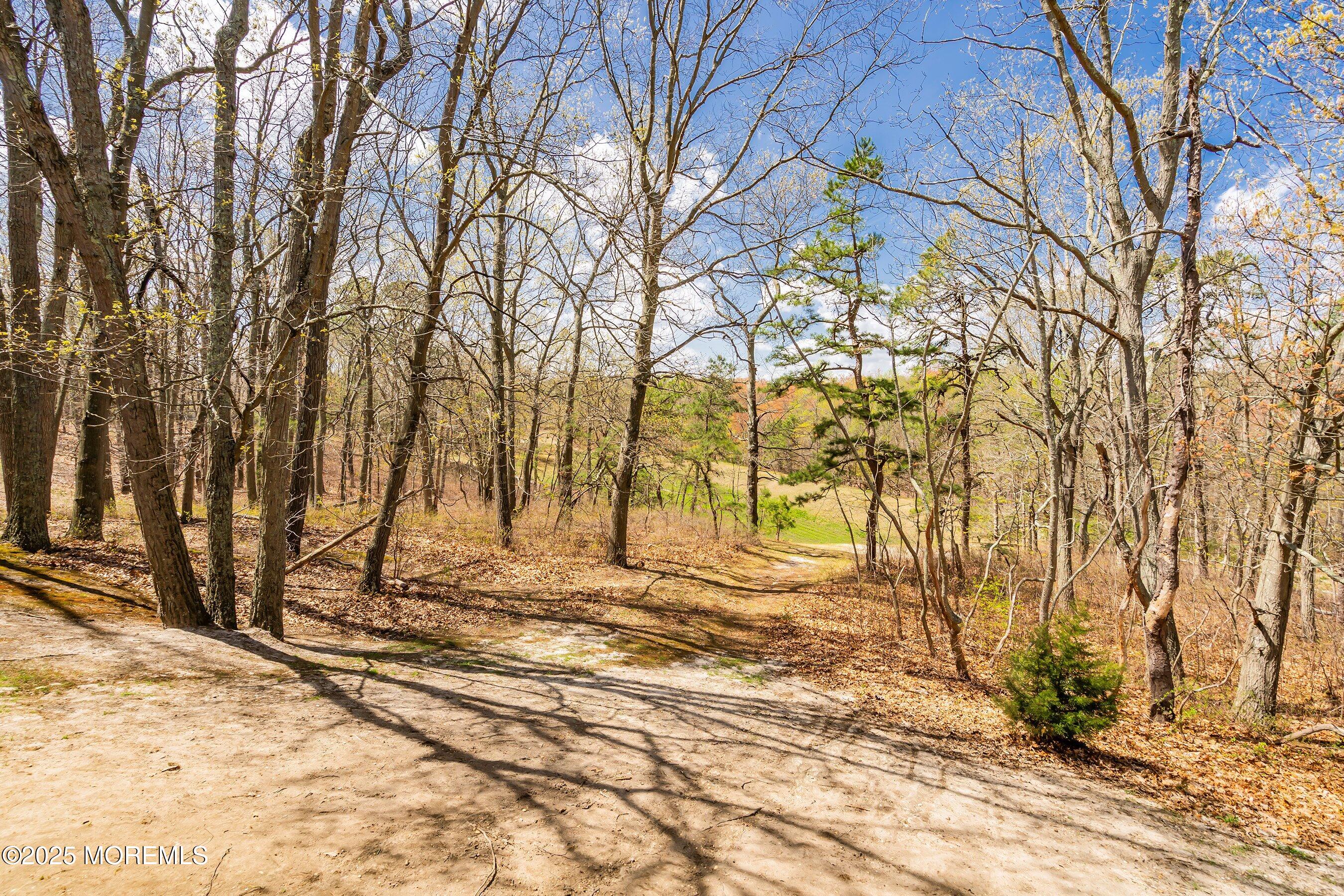 204 Begonia Court, Jackson, New Jersey image 24