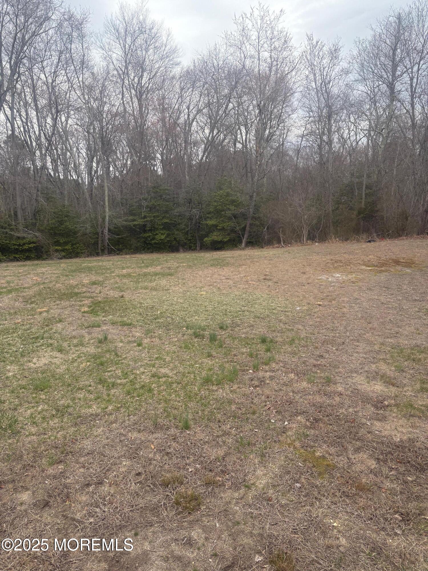 290 Jackson Mills Road, Jackson, New Jersey image 5