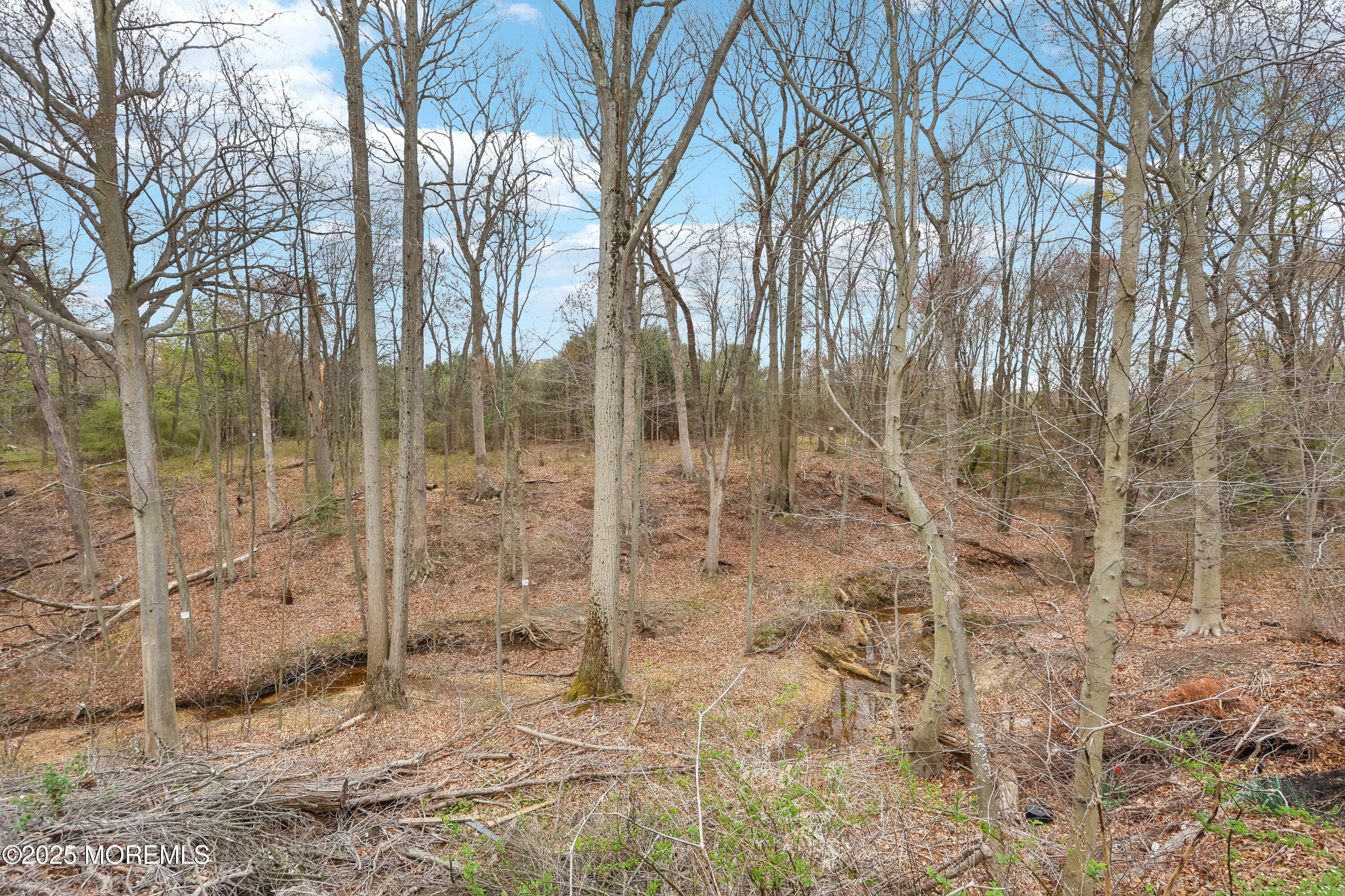 15 Pemberton Drive, Matawan, New Jersey image 49