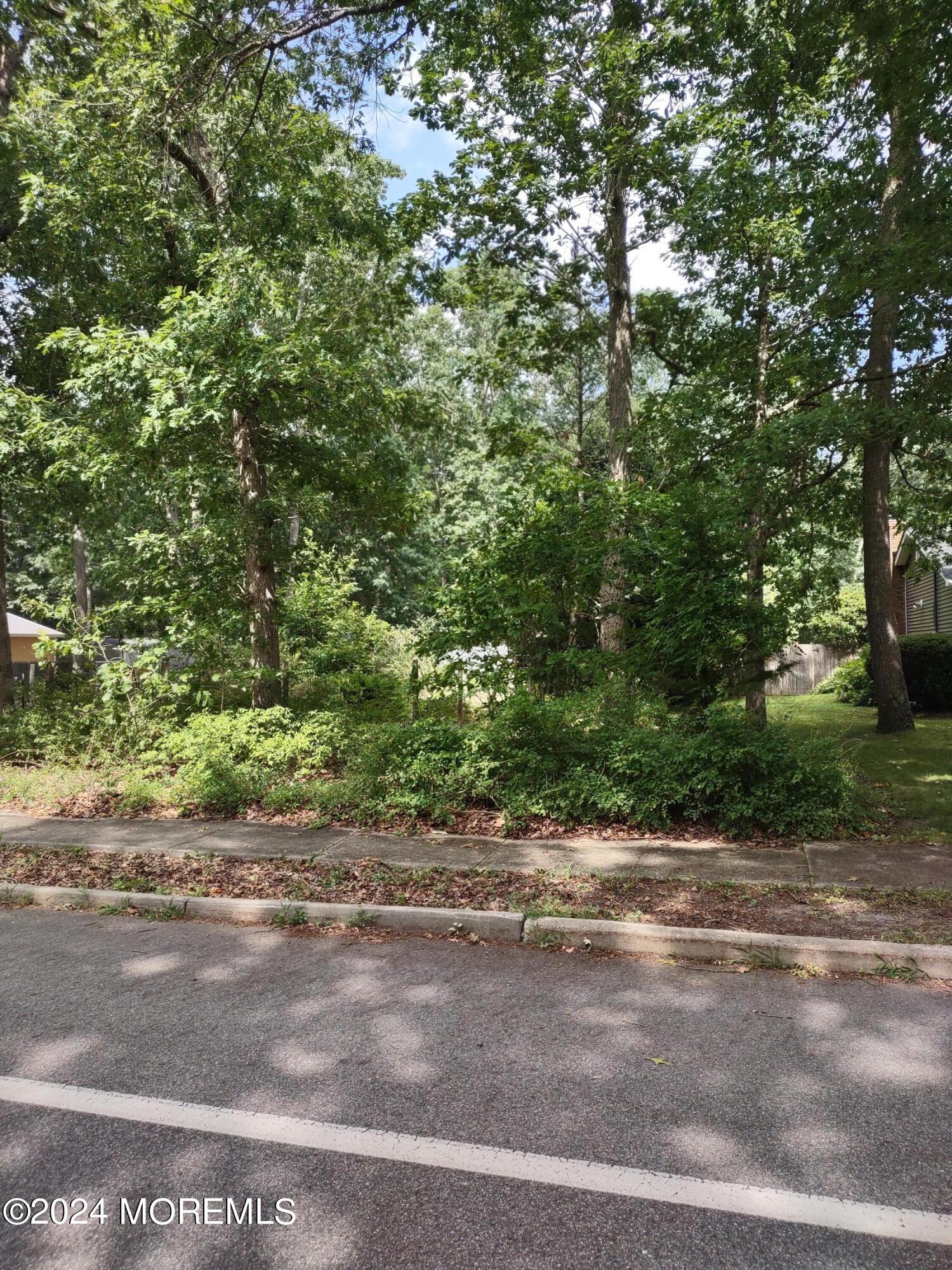 41 Butterfly Road, Jackson, New Jersey image 47