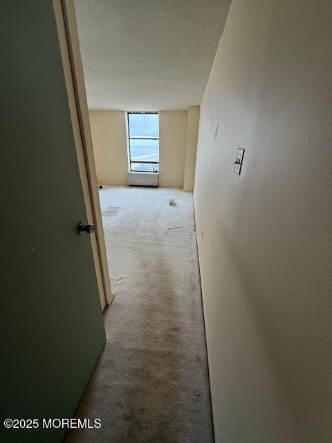 787 Ocean Avenue #1609, Long Branch, New Jersey image 17